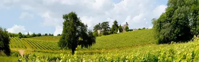 Paysage naturel près de la maison d'hôtes