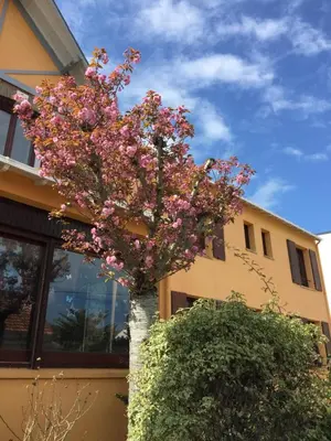 Bâtiment de l'hôtel