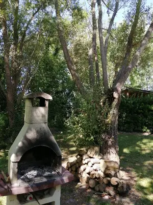 Jardin de l'établissement Camping La Loire Fleurie