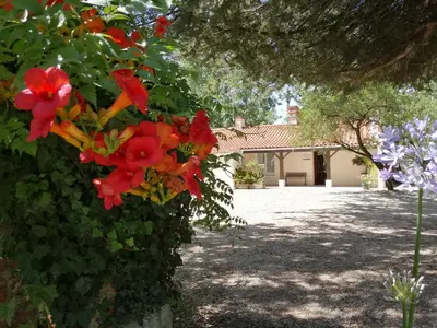 Jardin de l'établissement Camping La Loire Fleurie