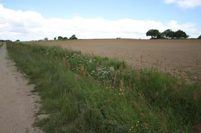 Paysage naturel près de la maison de vacances