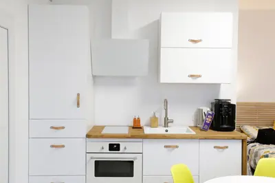 Cuisine ou kitchenette dans l'établissement Scandin'appart