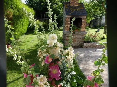Jardin de l'établissement La Trémière