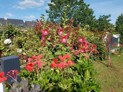 Jardin de l'établissement La Trémière