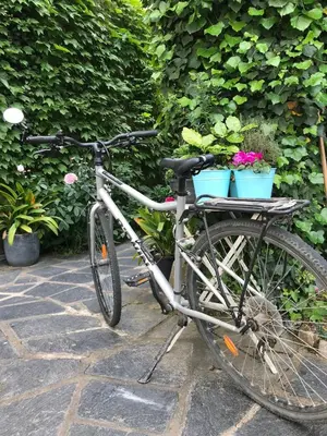 Vélo sur le terrain de l'établissement A coté de la place du pilori ou dans les environs