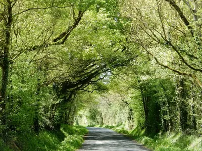 Paysage naturel près de la maison de vacances