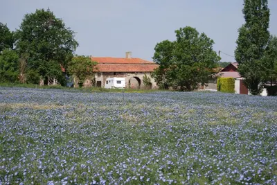 Jardin de l'établissement Chambre d'hôte Manoir de La Baudonnière
