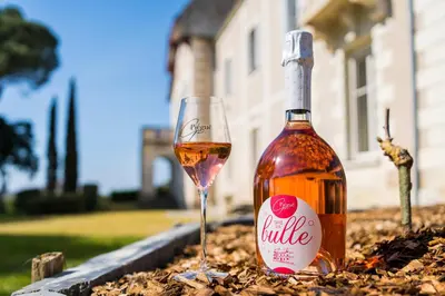 Boissons dans l'établissement Vignoble Château Piéguë - winery