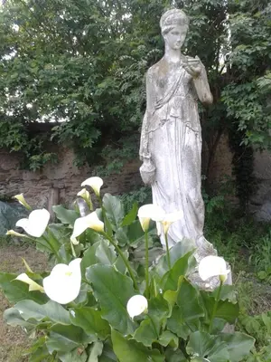 Jardin de l'établissement Château des Bretonnières sur vie - Maison d'hôtes et gîte 4 personnes