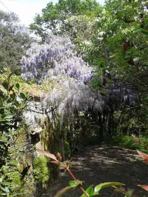 Jardin de l'établissement Château des Bretonnières sur vie - Maison d'hôtes et gîte 4 personnes