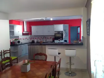 Cuisine ou kitchenette dans l'établissement Les Palmiers