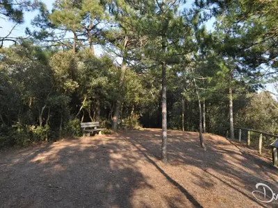 Paysage naturel près de l'appartement