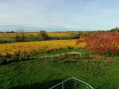Paysage naturel près de l'appartement