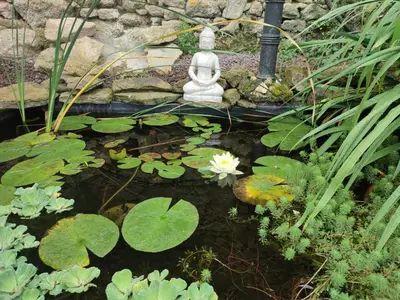Jardin de l'établissement Domaine des fées