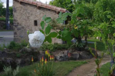 Jardin de l'établissement Gîte des 2 Pat'
