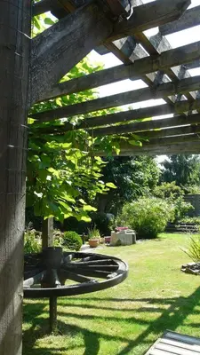 Jardin de l'établissement GAEDREHOME