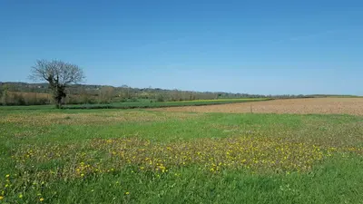 Paysage naturel près de la maison d'hôtes