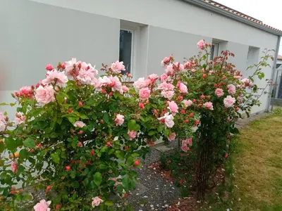 Jardin de l'établissement perle rare à énergie positive