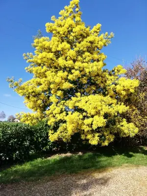 Jardin de l'établissement La haye Georget