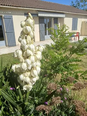 Jardin de l'établissement chez juliette