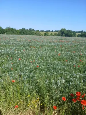 Paysage naturel près de la maison de vacances