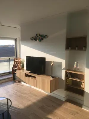 Télévision ou salle de divertissement dans l'établissement T2 hyper centre bord de Loire Parking