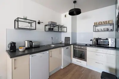 Cuisine ou kitchenette dans l'établissement Le Sphinx by Cocoonr