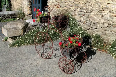 Jardin de l'établissement Le Chêne creux