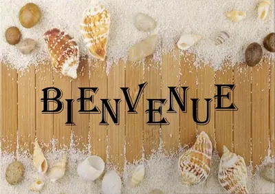 Plan de l'établissement Mobil home proche du paradis des plages