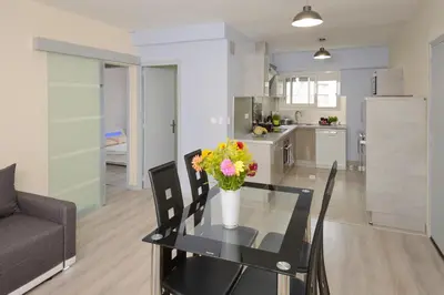 Cuisine ou kitchenette dans l'établissement Appartement 2 chambres Angers Centre de Congrès