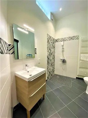 Salle de bains dans l'établissement Appartements Rue Sarret XXL