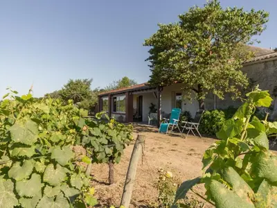 Jardin de l'établissement Gîte calme sur domaine viticole, cheminée, wifi, équipements bébé, proche Nantes - FR-1-306-794