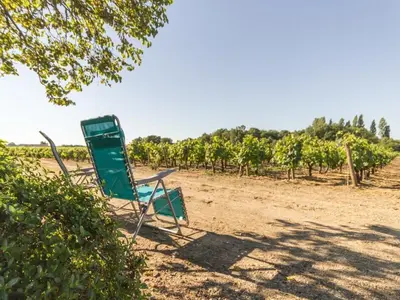 Paysage naturel près de la maison de vacances