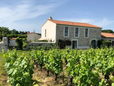 Jardin de l'établissement Gîte de caractère au cœur des vignes avec jardin, vélos et équipements bébé - FR-1-306-796
