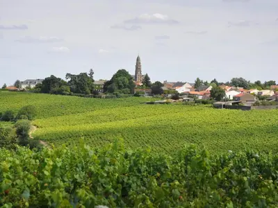 Paysage naturel près de la maison de vacances