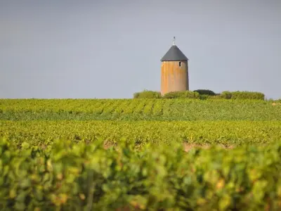Plan de l'établissement Gîte Authentique au Cœur des Vignes avec Terrasse Privative et Wifi, à 25 km de Nantes - FR-1-306-813