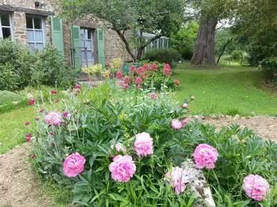 Jardin de l'établissement Maison de Maître rénovée avec jardin, terrasse et équipements modernes, au calme de la campagne. - FR-1-306-928
