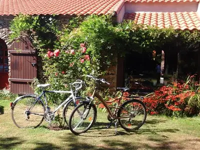 Vélo sur le terrain de l'établissement Gîte Accessible avec Jardin Fleuri près de Pornic, Éco-rénové et Équipé (Vélos, WiFi, Cheminée) - FR-1-306-957 ou dans les environs