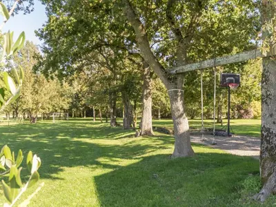 Jardin de l'établissement Gîte familial avec parc, jeux pour enfants et vélos, proche du Lac de Grand Lieu - FR-1-306-1040