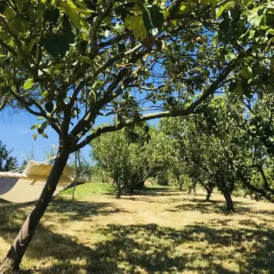 Gîtes pour grand groupe 18 personnes à 15 mins du Puy du Fou