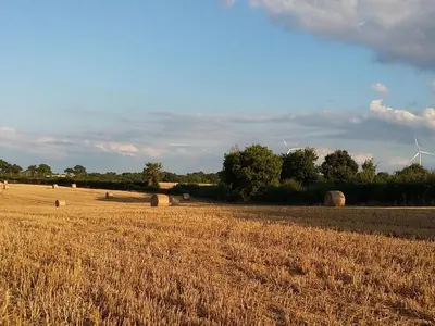 Paysage naturel près de la maison de vacances