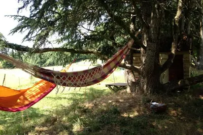 Jardin de l'établissement Gîte calme et spacieux pour amoureux de la nature