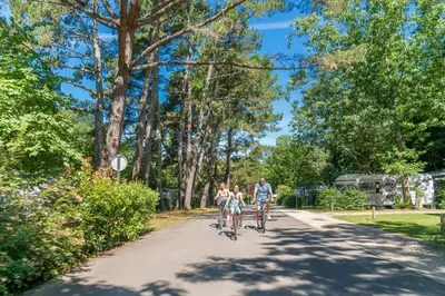 Clients de l'établissement Nantes Camping Le Petit Port