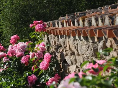 Jardin de l'établissement Maison rénovée avec piscine et grand jardin, à 2 km de la Vallée de l'Yon - FR-1-426-329