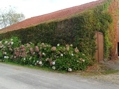 Jardin de l'établissement Gîte rustique avec salle de jeux et animaux en campagne - FR-1-426-336