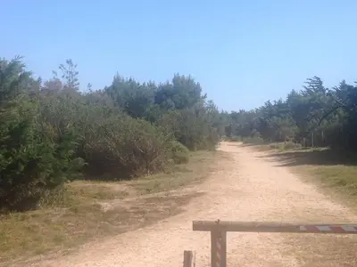 Paysage naturel près de la maison de vacances