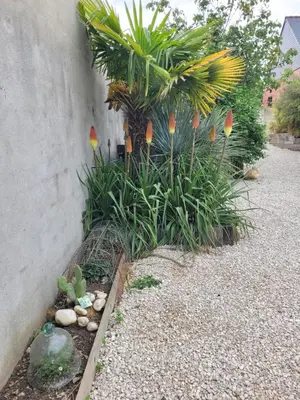 Jardin de l'établissement Angers Green Lodge - Cosy Studio
