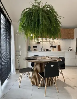 Cuisine ou kitchenette dans l'établissement PLAISANCE Bouguenais - Appartement Nantes - PARKING GRATUIT