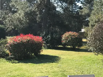 Jardin de l'établissement le 25 l'océan