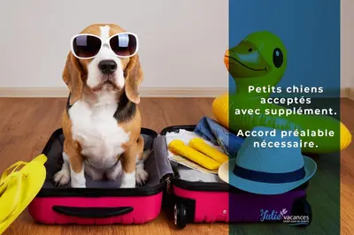 Animal ou animaux domestique(s) séjournant avec des clients dans l'établissement Studio familial 30m2 Les Goelands - grand balcon vue forêt